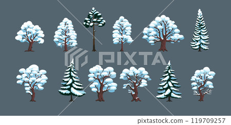 Tree snow. Winter frosty forest, snowy woodland. Ice scene. Wood park with snowflake. Scenery cartoon isolated elements set, design icons landscape. Vector coniferous and deciduous plant illustration Tree snow. Winter frosty forest, snowy woodland. Ice scene. Wood park with snowflake. Scenery cartoon isolated elements set, design icons landscape. Vector coniferous and deciduous plant illustration 119709257