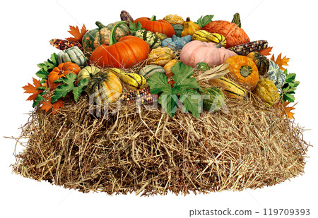 Thanksgiving Harvest Icon 119709393
