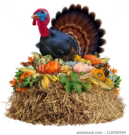 Thanksgiving Harvest Icon 119709394