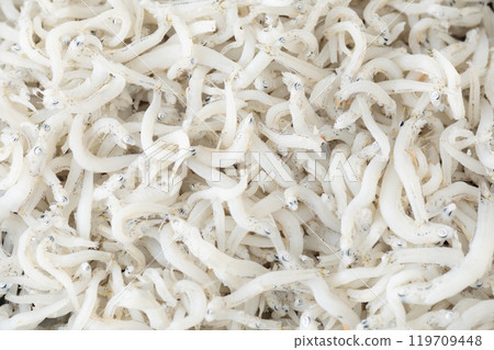 美味的銀魚圖像 02 119709448