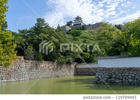 [Kagawa Prefecture] Marugame Castle Stone Walls and Keep 119709481
