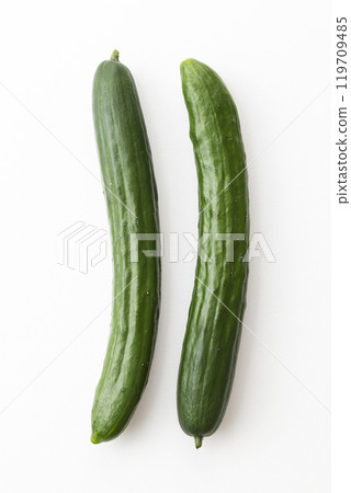 Cucumber on white background Cucumber on white background 119709485