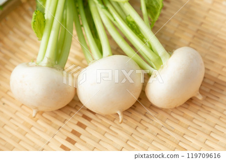 Fresh turnip image 05 Fresh turnip image 05 119709616