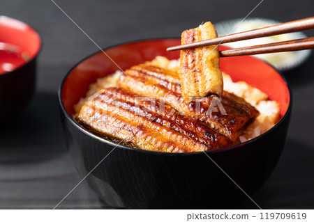 美味的鰻魚碗圖像 03 美味的鰻魚碗圖像 03 119709619