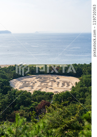 [香川縣觀音寺市]錢形砂苗 119710363