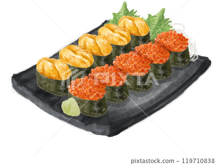 Watercolor sushi set (salmon roe and sea urchin) 07_2 Watercolor sushi set (salmon roe and sea urchin) 07_2 119710838