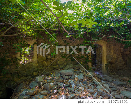 森林裡的廢墟（利奇蒂斯峽谷，克里特島，希臘） 119711391