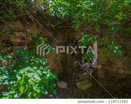 Ruined doorway in the forest (Lithis Gorge, Crete, Greece) 119711393