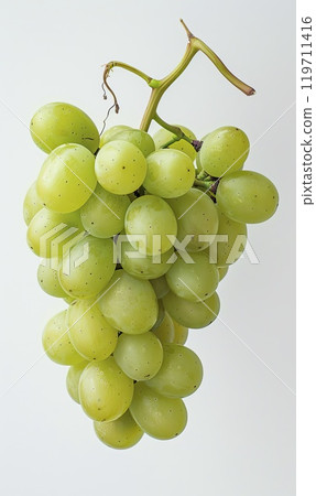 Fresh Green Grapes Cluster, Generate AI Fresh Green Grapes Cluster, Generate AI 119711416