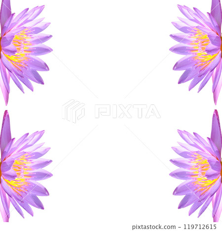 Lotus flowers isolated on white. Collage. Free space for text. 119712615