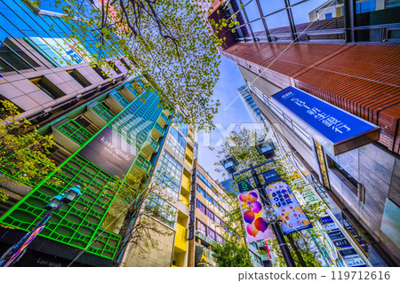 Tokyo cityscape in Japan. Ginza, Tokyo. View of tree-lined streets, etc. = October 27th 119712616