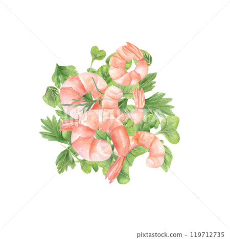 Boiled tasty pink shrimps on micro greens hand drawn watercolor illustration. Seafood, parsley leaves, oregano and rosemary ingredient salad for healthy eating. For recipe, cookbook design Boiled tasty pink shrimps on micro greens hand drawn watercolor illustration. Seafood, parsley leaves, oregano and rosemary ingredient salad for healthy eating. For recipe, cookbook design 119712735