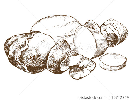 Potatoes in skins, whole, peeled, with a spiral of peelings. Graphic illustration hand drawn in brown ink. EPS vector on the theme of harvest cooking, food, packaging, vegetable shop design. 119712849