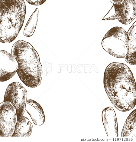 Potatoes whole, half, cut, peeled and wedges square frame template. Graphic illustration hand drawn in brown ink. EPS vector on the theme of harvest cooking, food, packaging, vegetable shop design 119712856