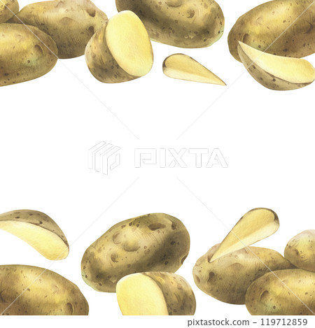 White potatoes whole, half, cut, peeled and wedges. Watercolor hand drawn illustration on the theme of harvesting, cooking, food, vegetable shop design. Square frame template border White potatoes whole, half, cut, peeled and wedges. Watercolor hand drawn illustration on the theme of harvesting, cooking, food, vegetable shop design. Square frame template border 119712859