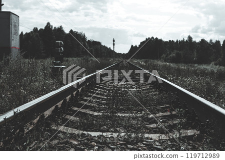 Railroad tracks stretching to the horizon on a cloudy day create a sense of perspective and distance due to the weeds between the tracks. Railroad tracks running through a forest. 119712989