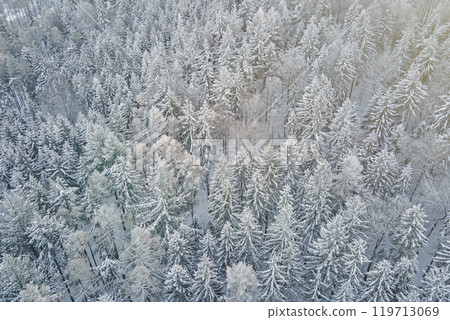 Winter landscape with snowy forest Winter landscape with snowy forest 119713069