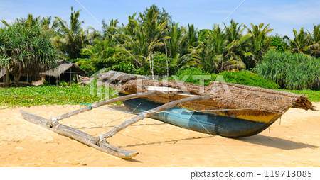 Untouched tropical beach with palms and fishing boat in Sri-Lanka 119713085