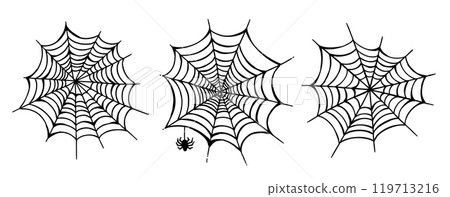 spider, vector, cobweb 119713216