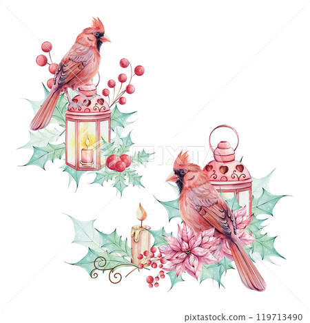 Watercolor set - Christmas bird red cardinal, berries, lantern, poinsettia flowers bouquet with holly green leaves. Arrangement with brunch. Border, ornament. Symbol of Christmas. Winter holiday 119713490