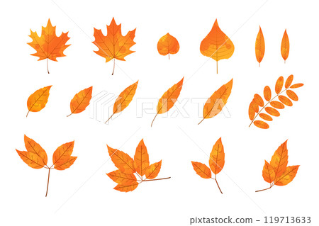 Motley textured autumn leaf. Fallen leaf with orange texture 119713633