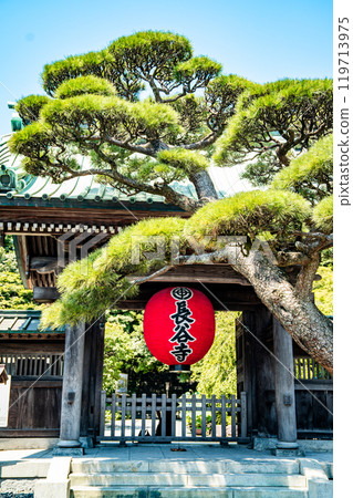 Hasedera temple in Kamakura, Japan 119713975