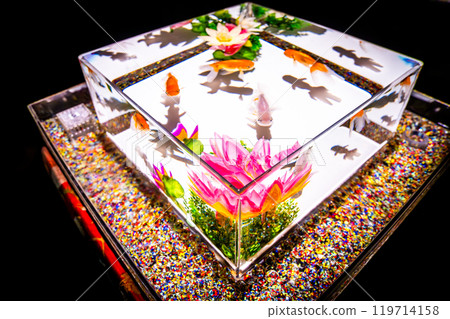 Art Aquarium museum in Ginza, Chuo City, Tokyo, Japan Art Aquarium museum in Ginza, Chuo City, Tokyo, Japan 119714158