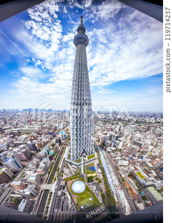 View of Tokyo SkyTree in Sumida City, Tokyo, Japan View of Tokyo SkyTree in Sumida City, Tokyo, Japan 119714237