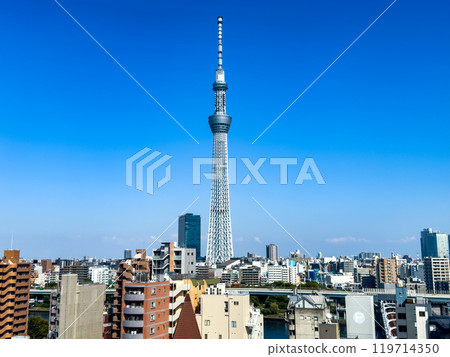 View of Tokyo SkyTree in Sumida City, Tokyo, Japan 119714350