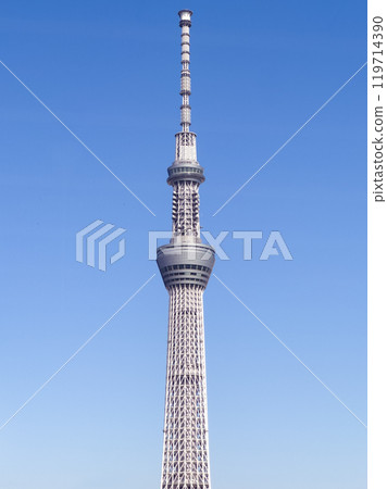 View of Tokyo SkyTree in Sumida City, Tokyo, Japan View of Tokyo SkyTree in Sumida City, Tokyo, Japan 119714390