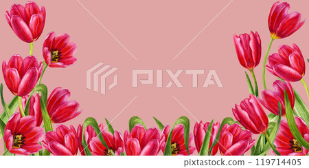 Bright red tulips. Horizontal frame of watercolor flowers isolated on a pink background. Illustration clipart for Mother's Day, Women's Day, Valentines, Easter, spring holidays, birthdays, weddings Bright red tulips. Horizontal frame of watercolor flowers isolated on a pink background. Illustration clipart for Mother's Day, Women's Day, Valentines, Easter, spring holidays, birthdays, weddings 119714405