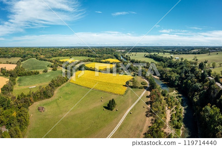 Tobacco fields 119714440