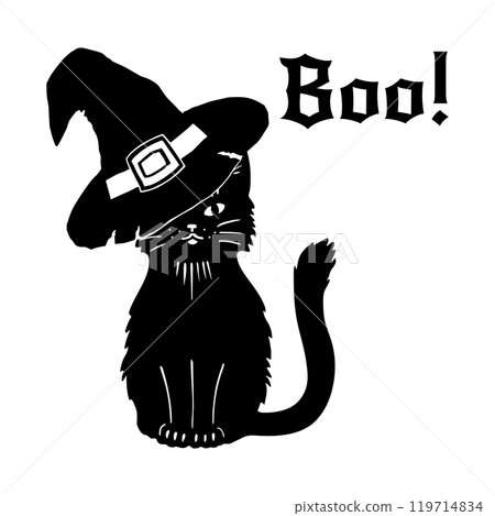 Magic black cat with witches hat front view. The witch s cat. Halloween pet. Sketch style vector illustration Magic black cat with witches hat front view. The witch s cat. Halloween pet. Sketch style vector illustration 119714834