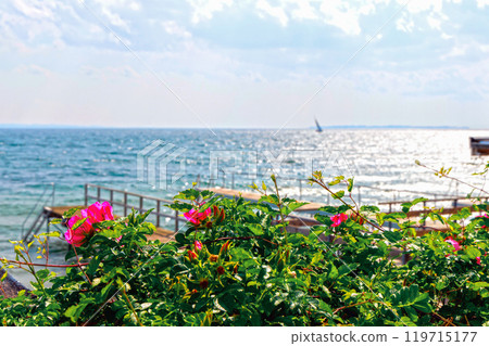 Beautiful seascape with sailing boat in the distance and pier 119715177