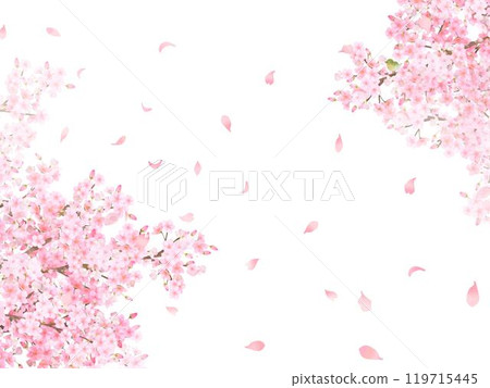 Cherry tree with warbler - Beautiful light pink cherry blossoms and petals Spring watercolor white back frame background material illustration 119715445