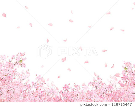 Cherry tree with warbler - Beautiful light pink cherry blossoms and petals Spring watercolor white back frame background material illustration 119715447