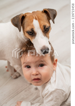 Cute baby boy and Jack Russell terrier dog lying in an embrace on a white background. Vertical photo. Cute baby boy and Jack Russell terrier dog lying in an embrace on a white background. Vertical photo. 119715458
