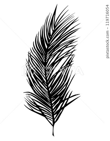 Silhouette of tropical palm tree leaves isolated on white background 119716054