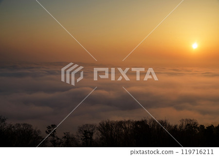 清晨的太陽從雲海昇起，俯瞰三好市高谷山展望台 119716211