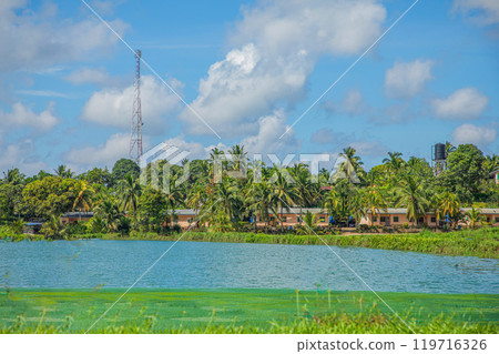 traditional Malaysian landscape along the road. Palm trees and power poles 119716326
