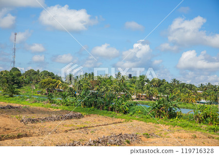 traditional Malaysian landscape along the road. Palm trees and power poles traditional Malaysian landscape along the road. Palm trees and power poles 119716328