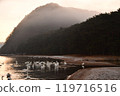 Swan in Lake Inawashiro 119716516