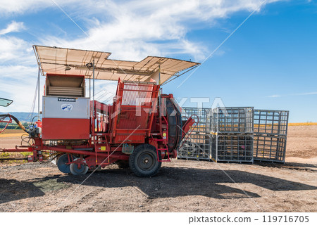 [美瑛町的馬鈴薯收穫與拖拉機] 119716705