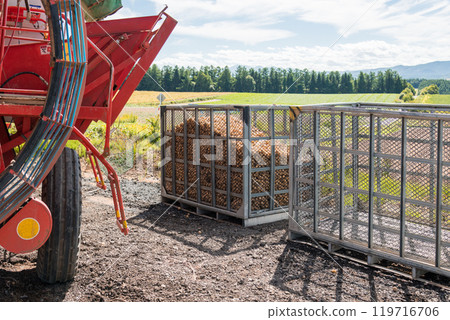 [美瑛町的馬鈴薯收穫與拖拉機] 119716706