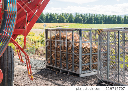 [Biei Town: Potato harvest and tractor] 119716707