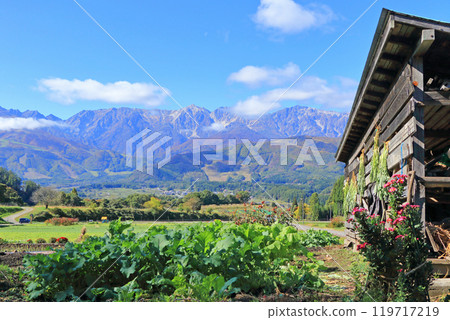 Autumn in Hakuba: View of the Northern Alps from Nodaira 119717219