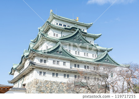 Nagoya Castle tower on a clear day in Nagoya, Aichi Prefecture 119717255