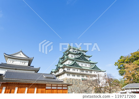 晴天時，愛知縣名古屋市、名古屋城天守宮和本丸宮 119717260