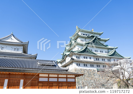 Nagoya Castle and Honmaru Palace on a clear day in Nagoya, Aichi Prefecture 119717272
