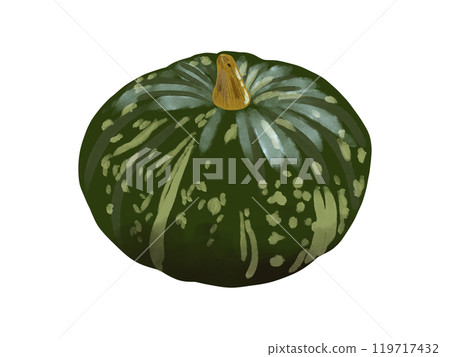 寫實南瓜插畫素材 寫實南瓜插畫素材 119717432